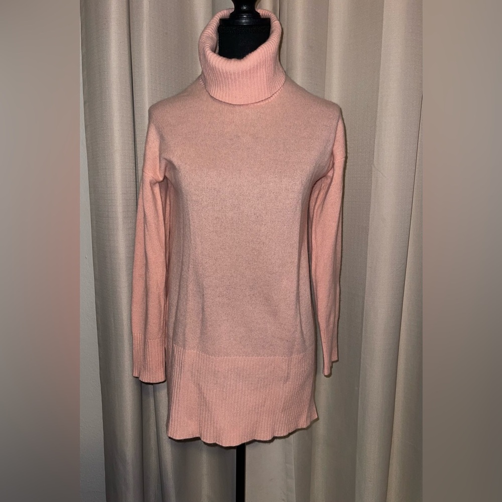 Max Studio Soft Pink Turtleneck Sweater